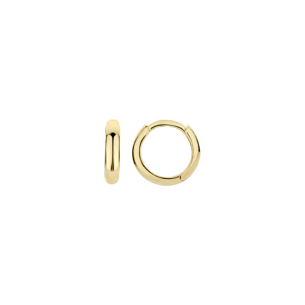 Blush 14ct Yellow Gold Polished Hoop Earrings
